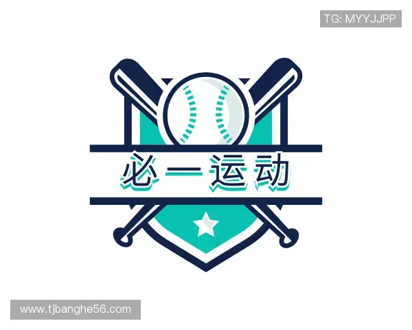 介绍bsport必一